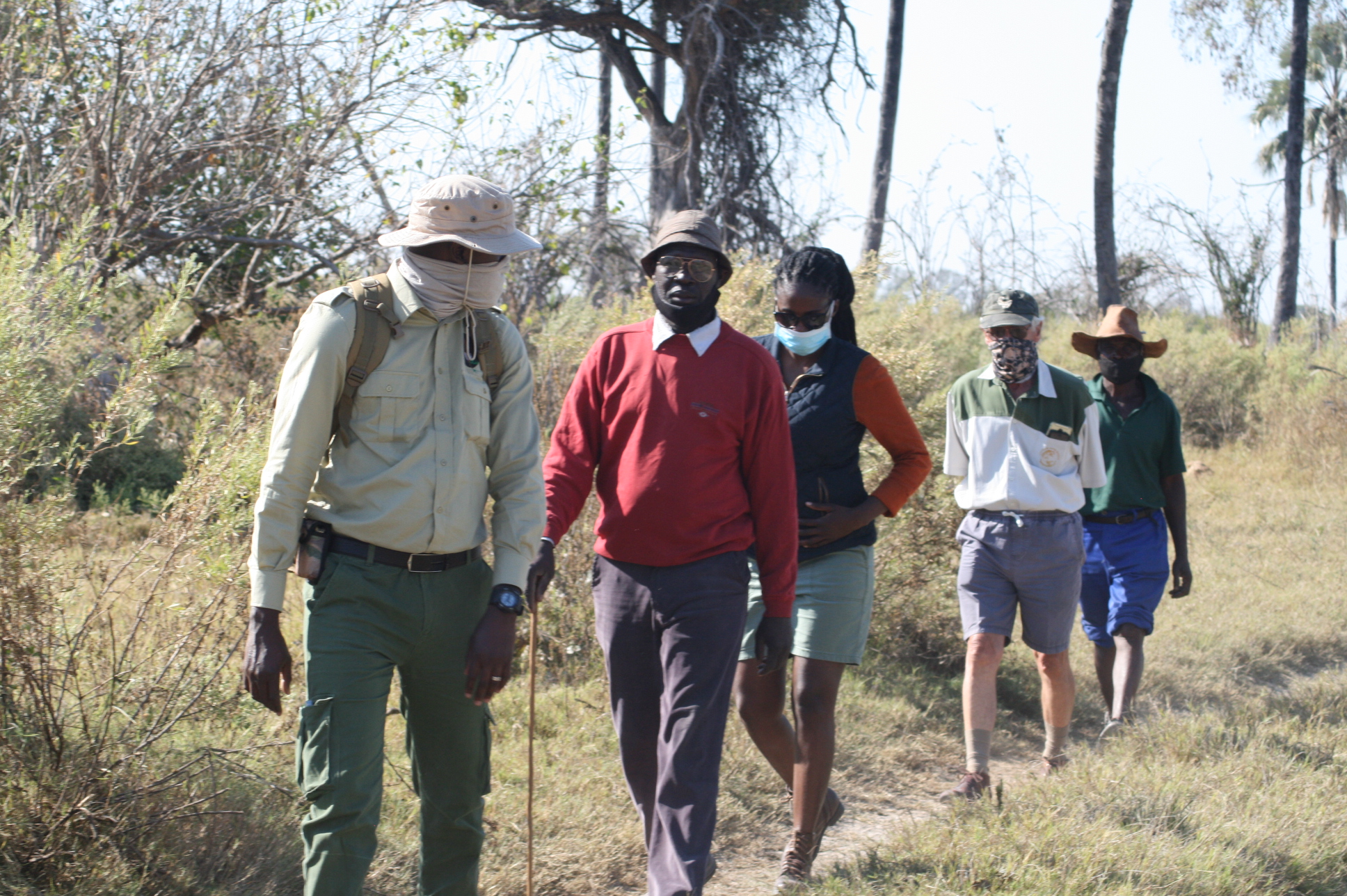 guided walking safaris