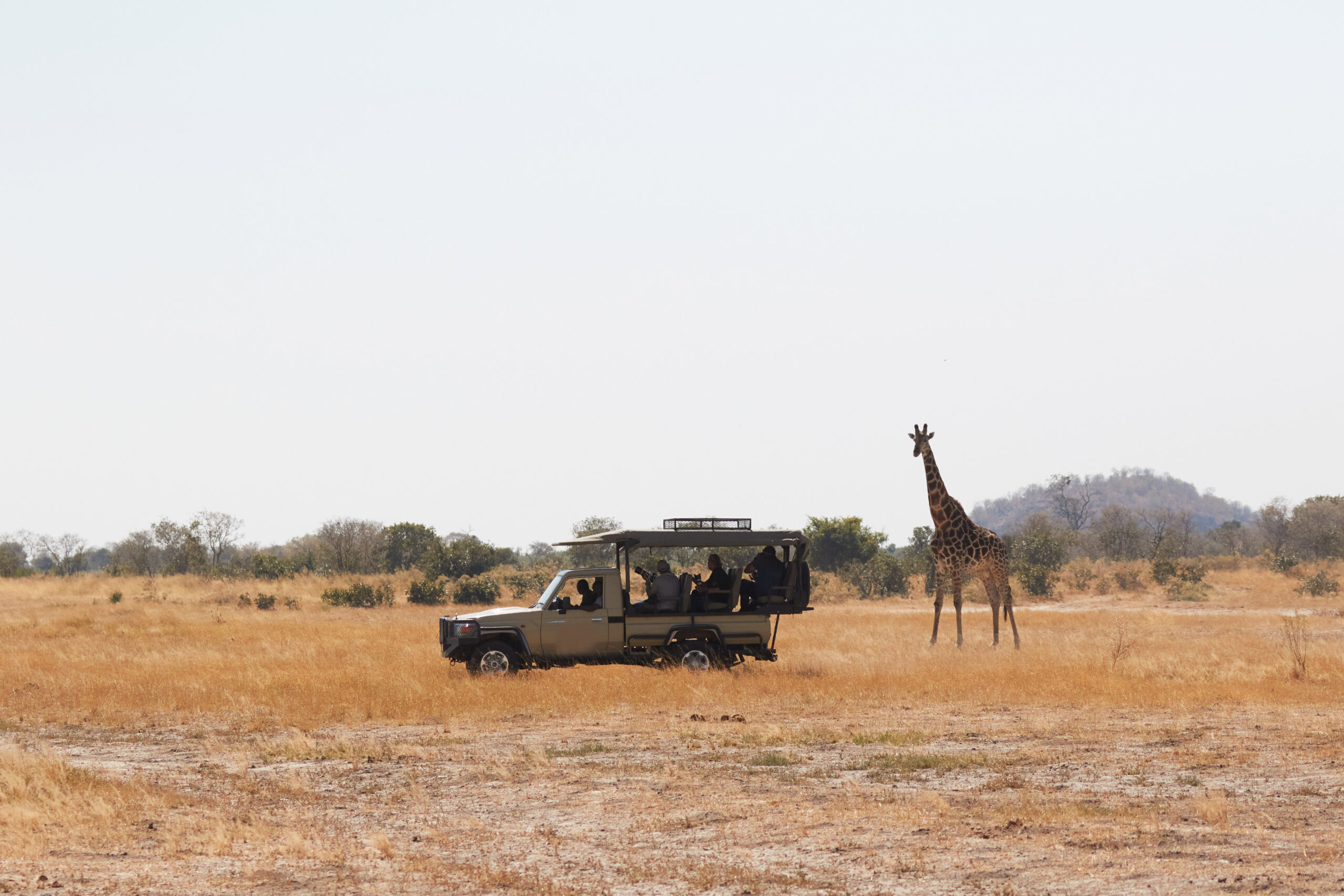 mobile safari